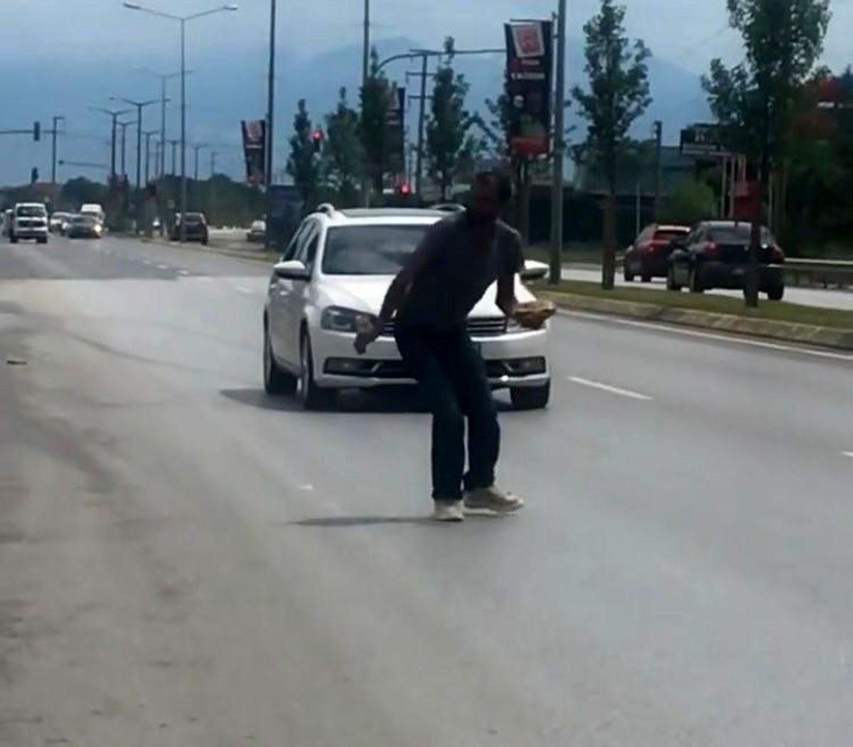Sakarya\'da kaplumbağa için trafik durdu