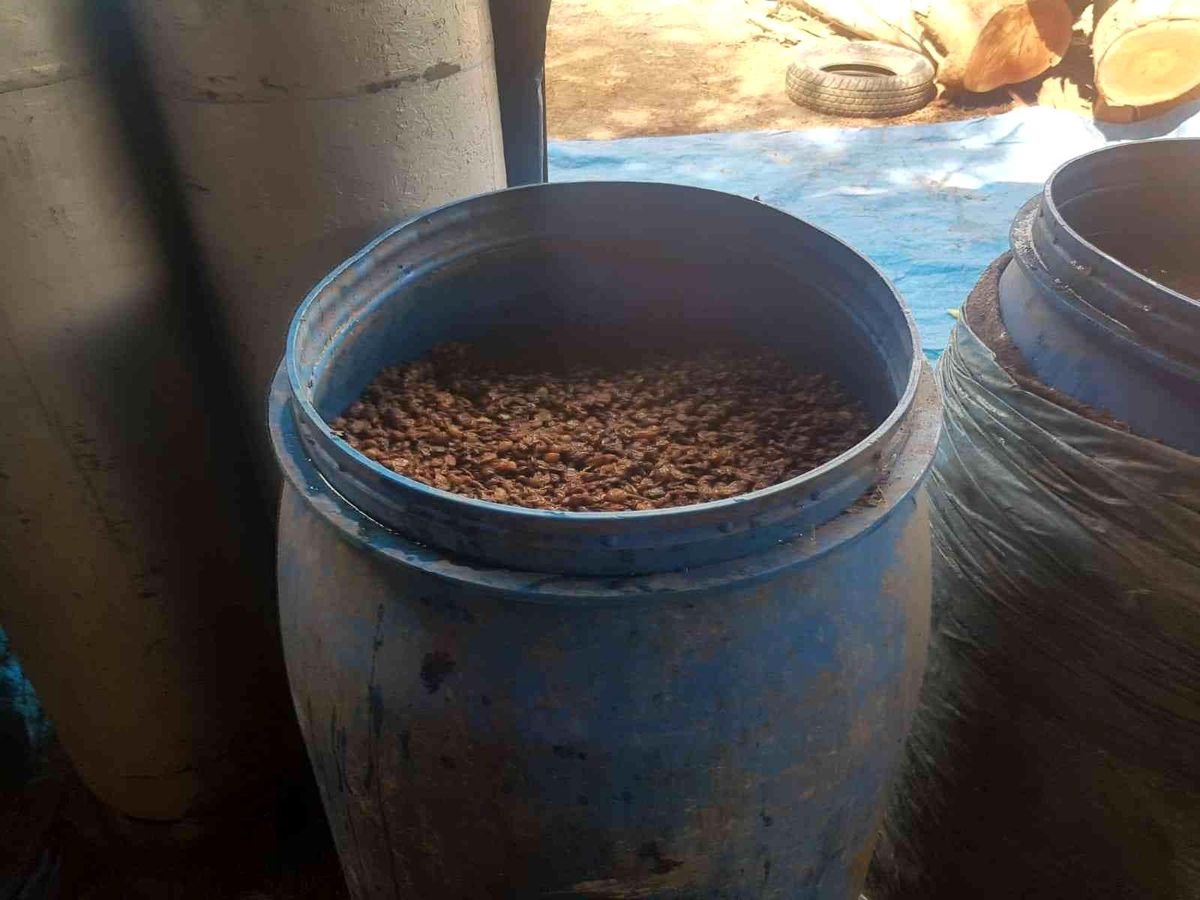 Son dakika! Adana'da sahte içki operasyonu