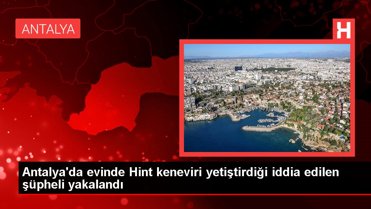 Antalya'da evinde Hint keneviri yetiştirdiği iddia edilen şüpheli yakalandı