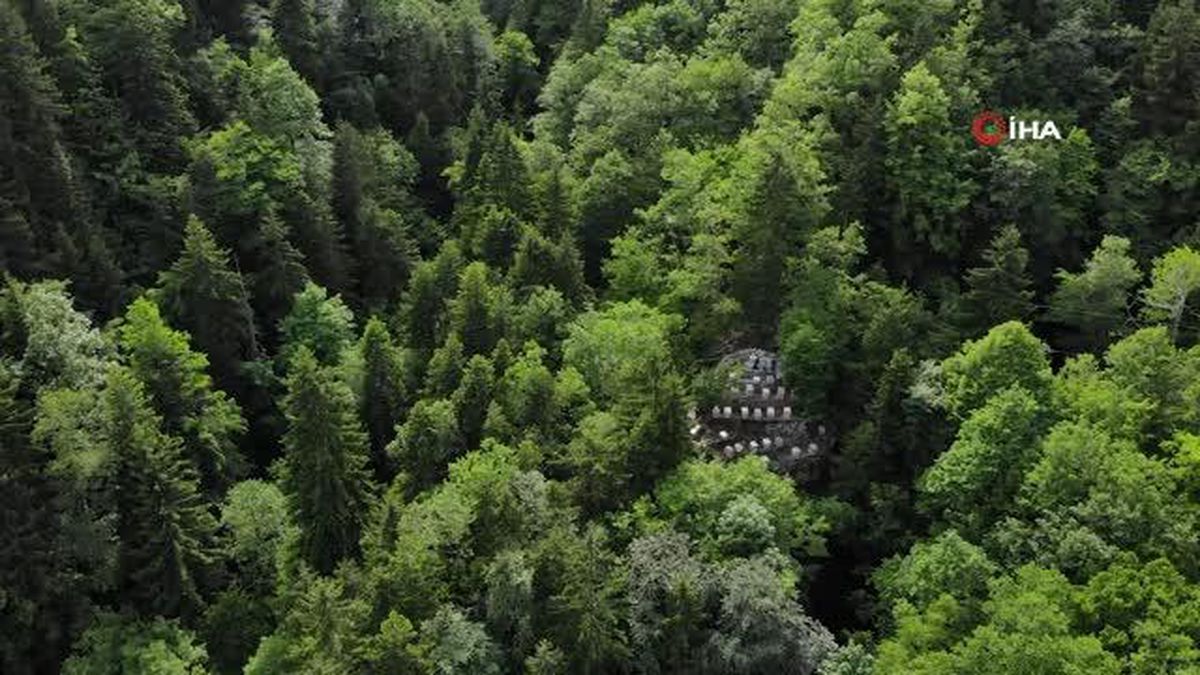 Asırlardır kayalar üzerinde bal üretiyorlarKayalar üzerine zor şartlarda ulaşarak yerleştirilen kovanlarda arıların ürettiği nadide ballar ilaç...