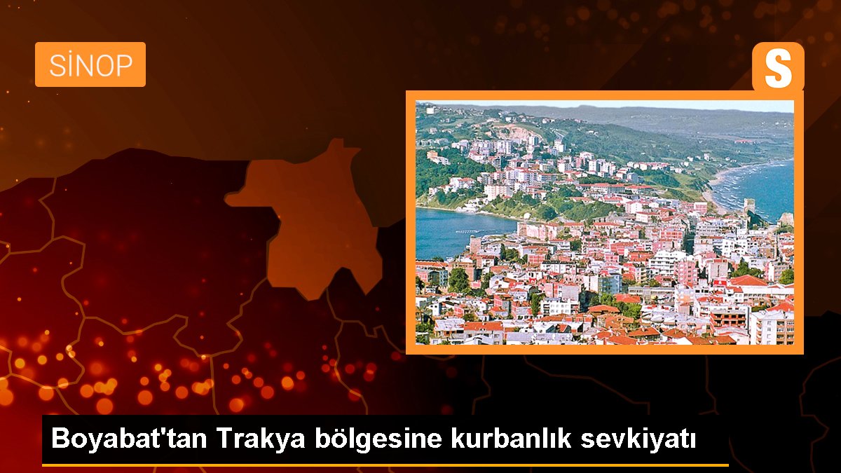 Boyabat\'tan Trakya bölgesine kurbanlık sevkiyatı