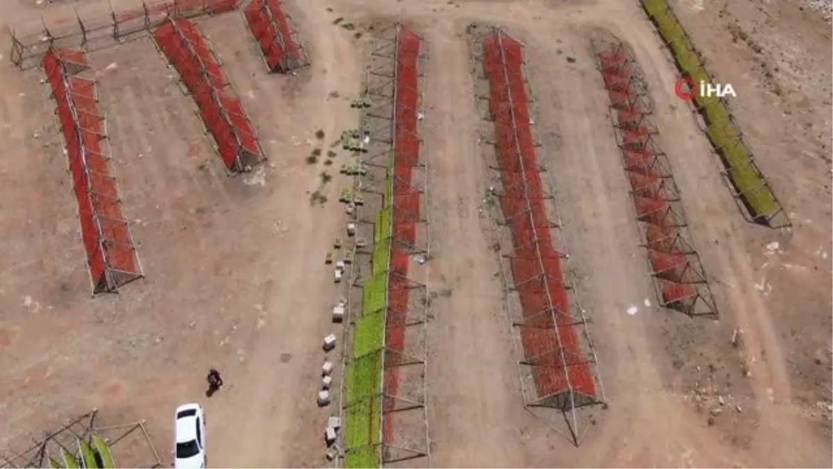 Kurutmalık mevsimi başladı, Gaziantep renklendi