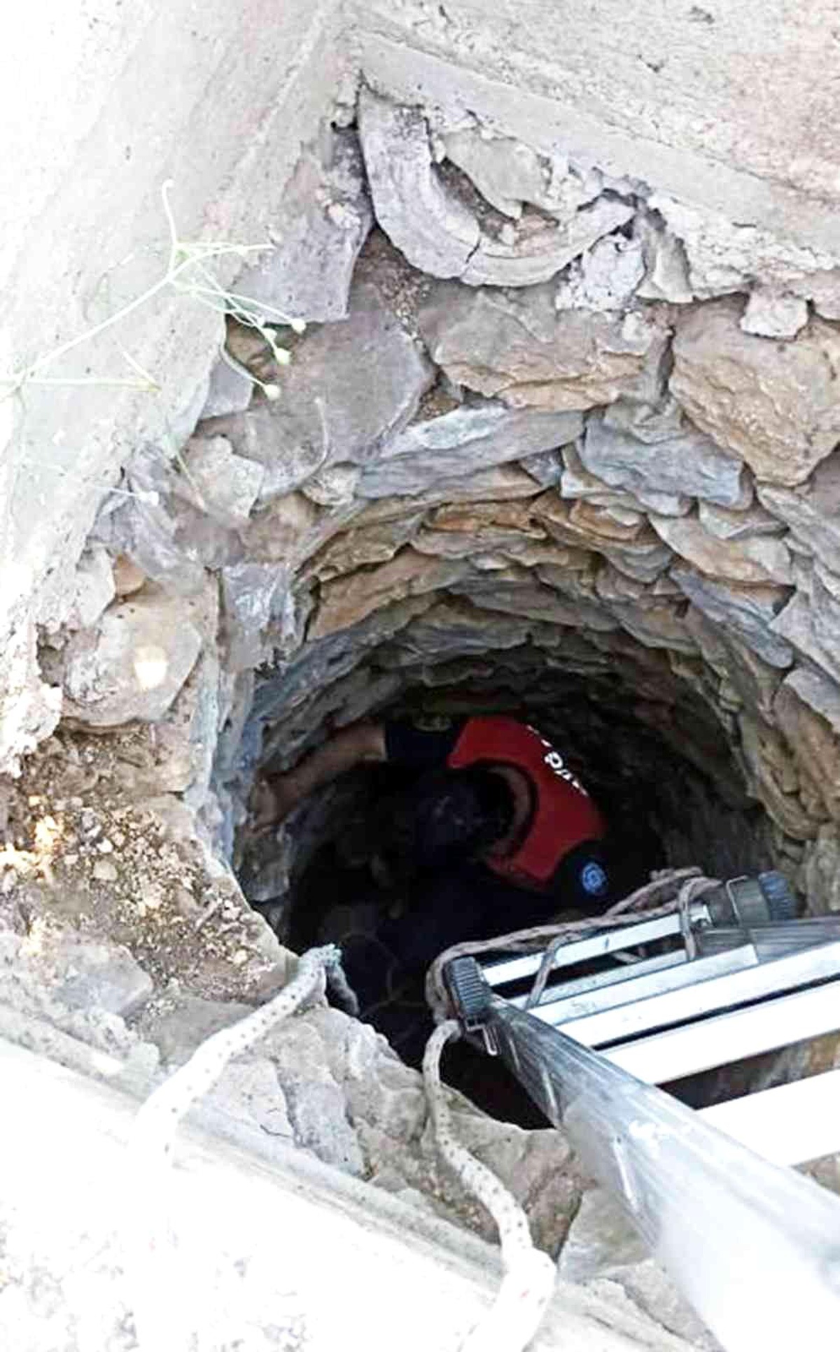 Kuyuya düşen Kuzu\'yu itfaiye kurtardı