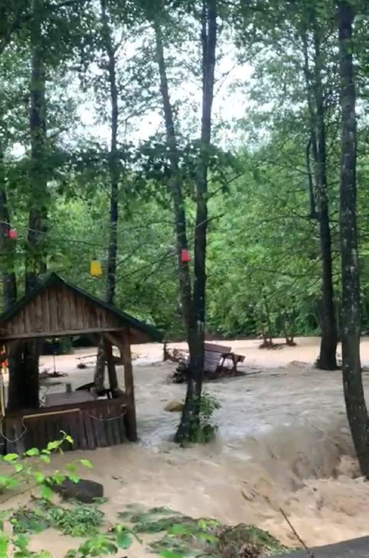Zonguldak'ta dere taştı; caddeleri su bastı (2)