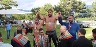 661'inci Domaniç Yağlı Pehlivan Güreşleri'nin başpehlivanı Recep Kara oldu