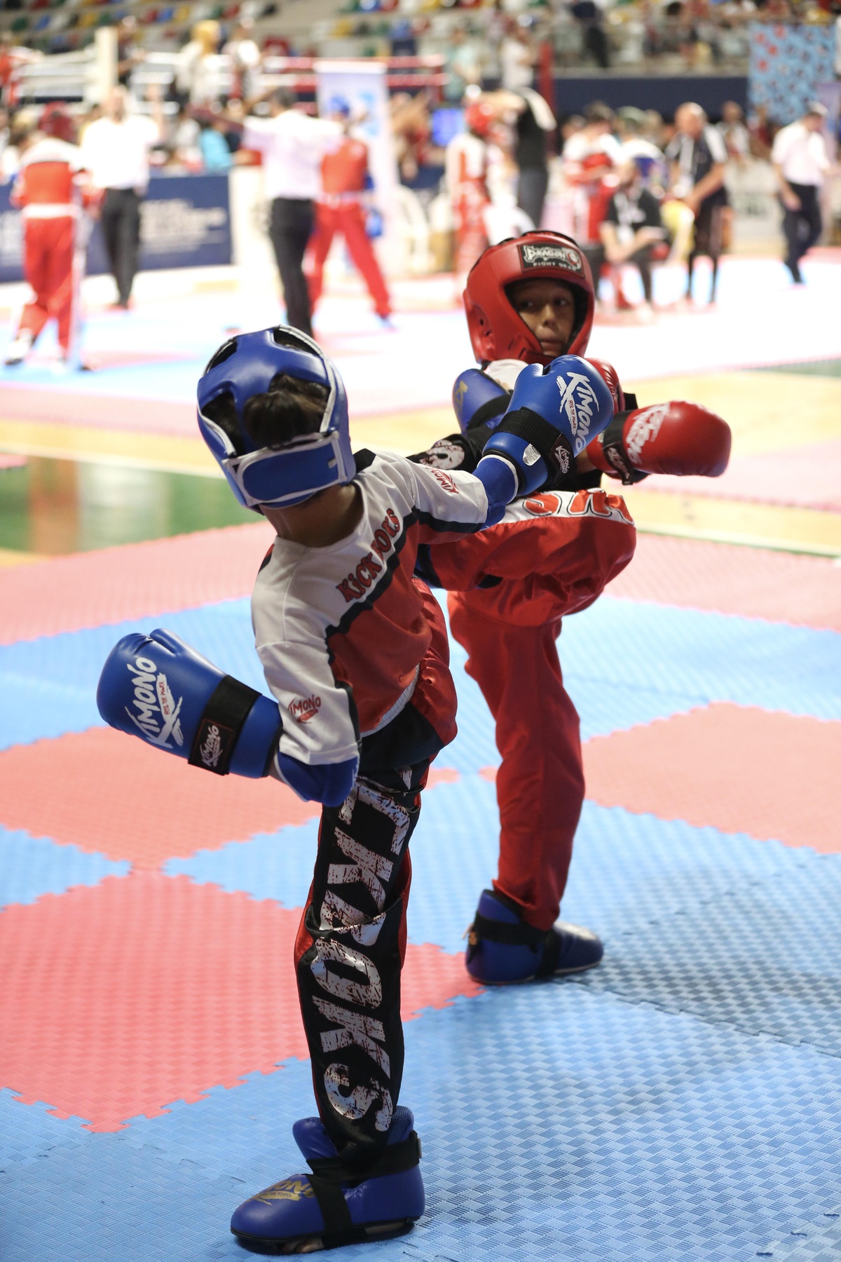 Büyükler, Gençler, Yıldızlar, Minikler Türkiye Kick Boks Şampiyonası, Kocaeli\'de yapıldı