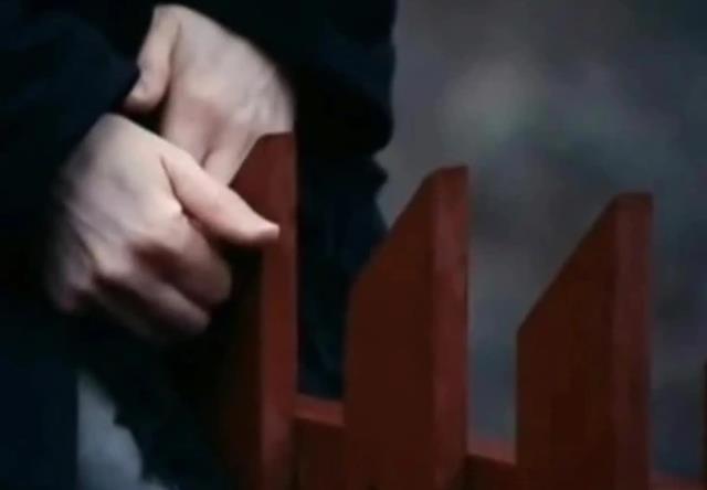 Çitlere cinsel çekim hisseden kadının yaptıkları görenleri dumur etti