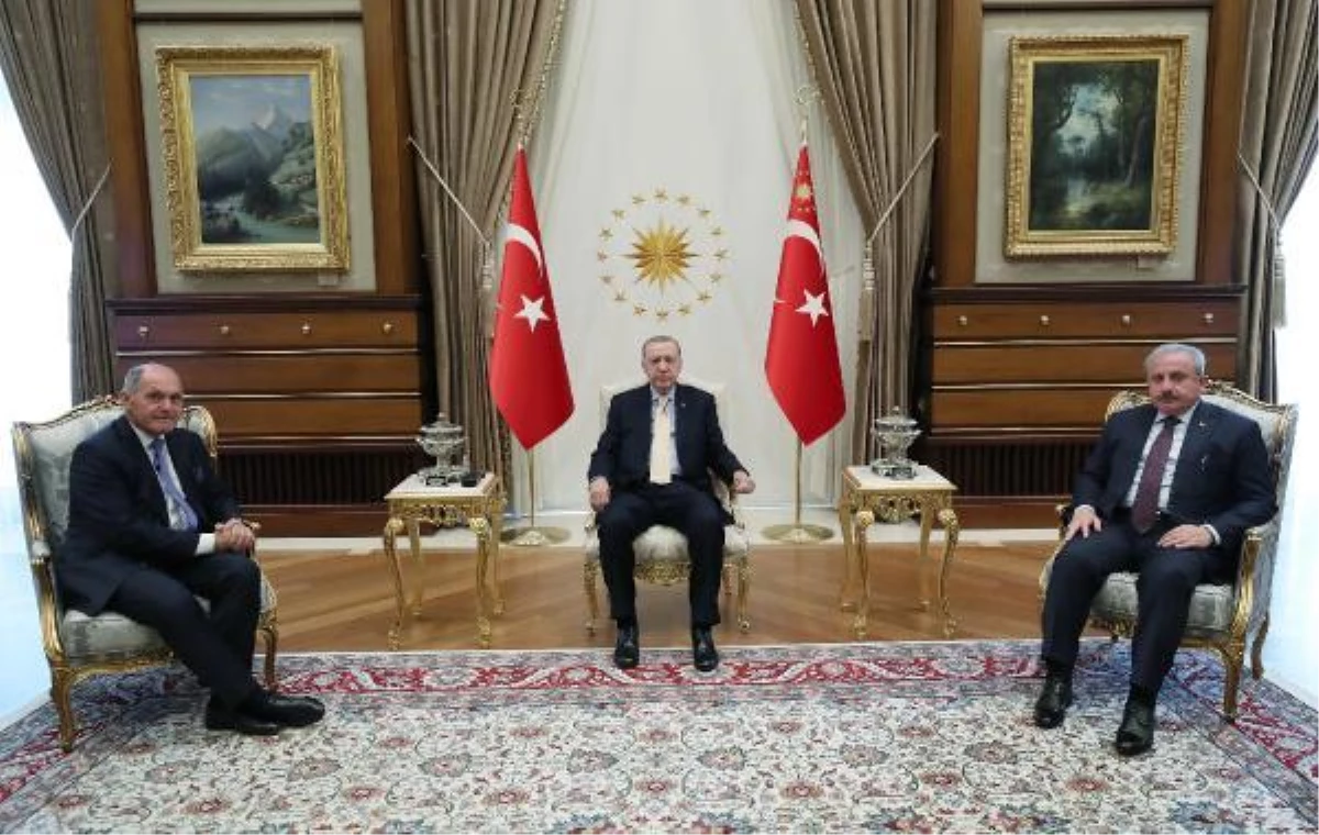 Cumhurbaşkanı Erdoğan, Avusturya Meclis Başkanı Sobotka\'yı kabul etti