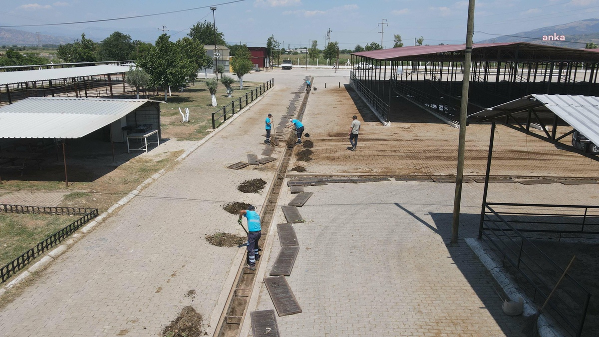 Efeler Belediyesi, Hayvan Pazarını Kurban Bayramına Hazırlıyor