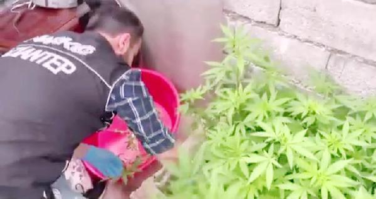 Son dakika haberleri... Gaziantep\'te uyuşturucu ticaretine 15 gözaltı