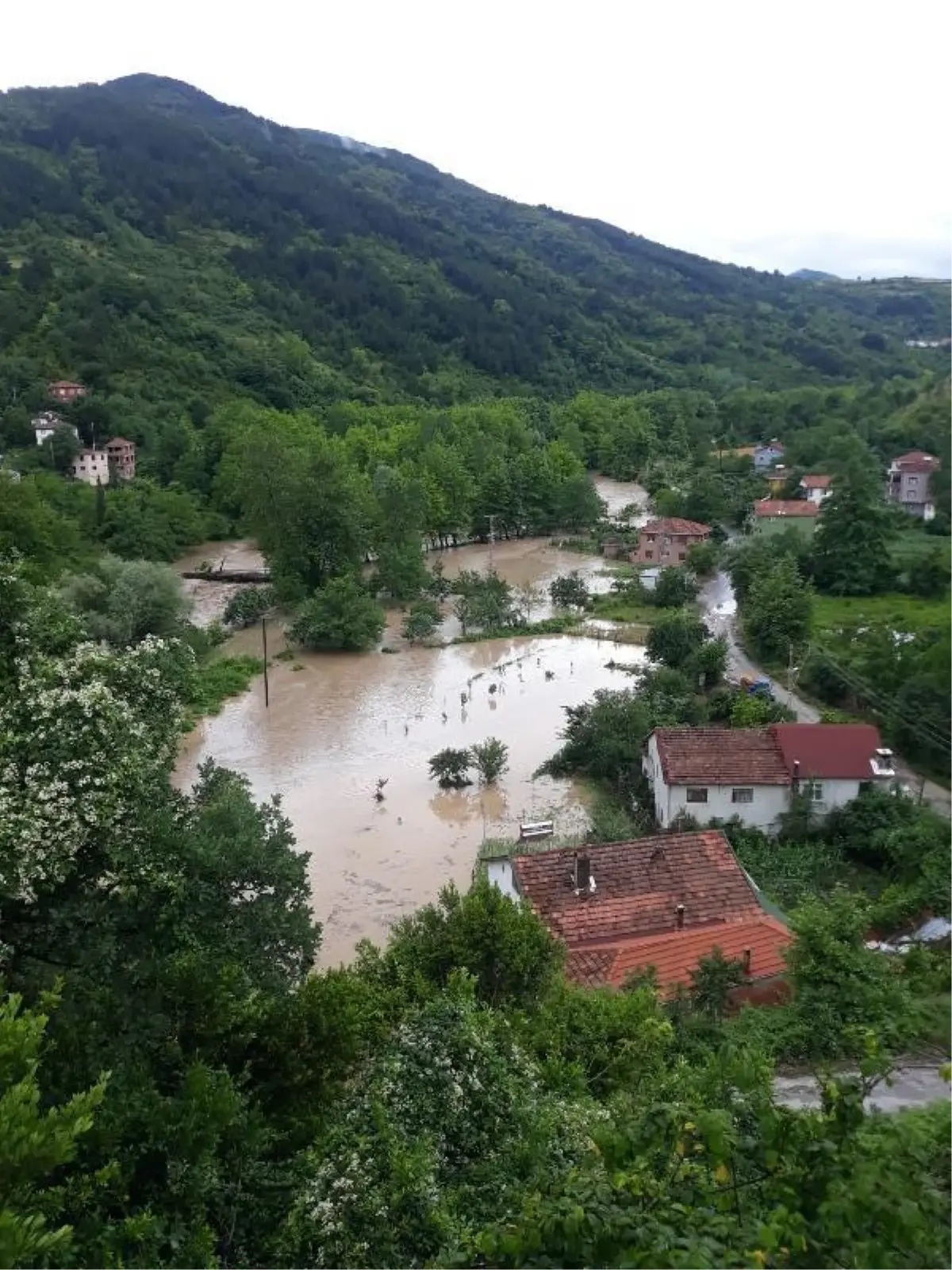 İnebolu\'da çay taştı, köprüler çöktü; \'Üst katlara çıkın\' uyarısı yapıldı (5)