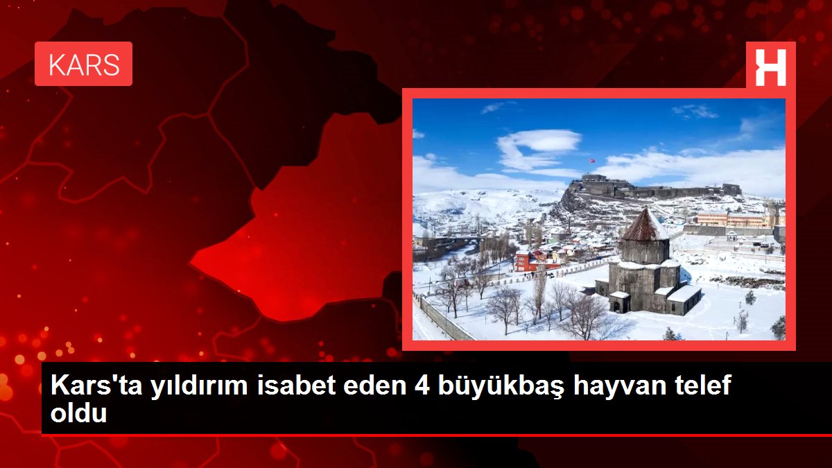 Kars'ta yıldırım isabet eden 4 büyükbaş hayvan telef oldu