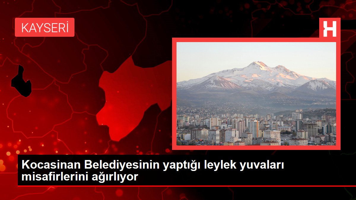 Kocasinan Belediyesinin yaptığı leylek yuvaları misafirlerini ağırlıyor