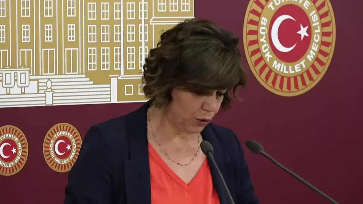 Meral Danış Beştaş: "İktidarın İflasından Sonra Konkordato İlanına Az Kaldı"