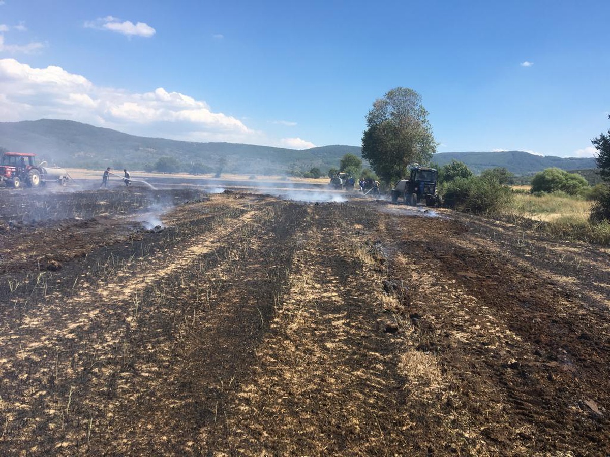 Muğla\'da zeytinlik ve anızların bulunduğu alanlarda çıkan yangınlar söndürüldü