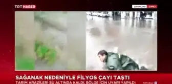 Muhabir canlı yayında rögara düştü