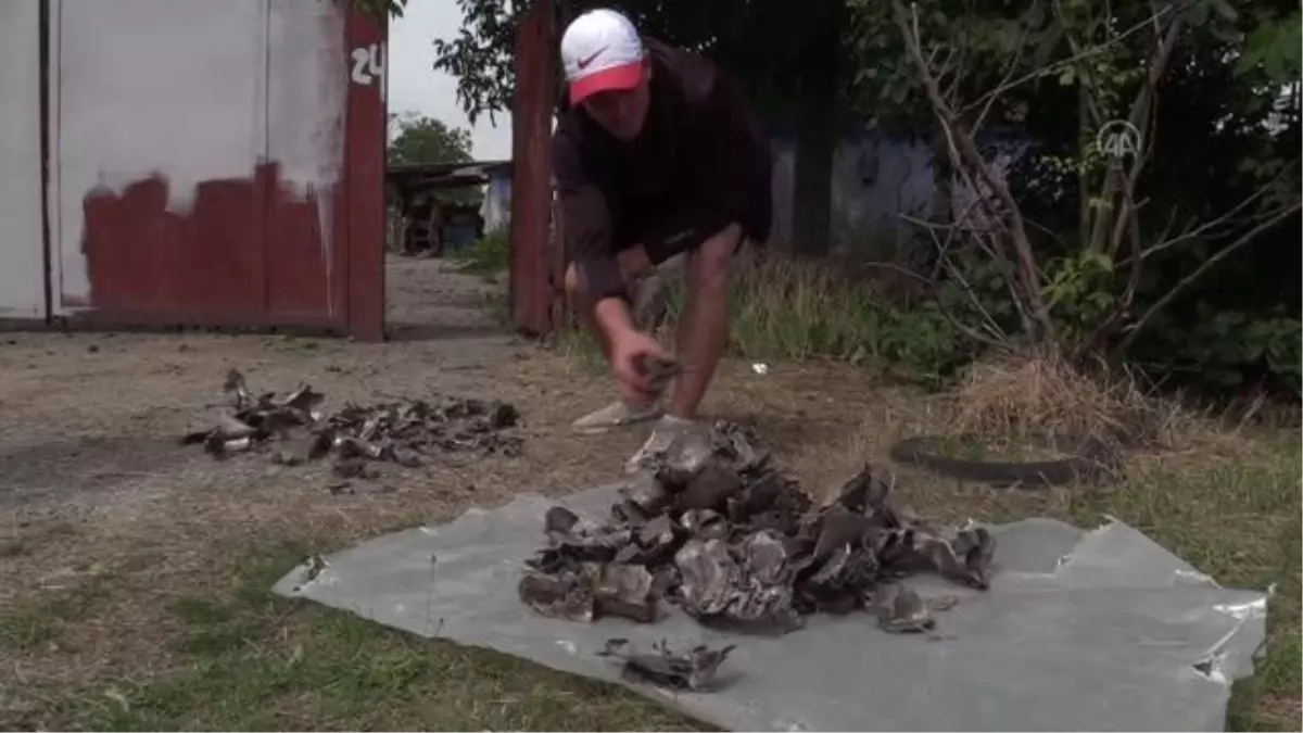 Rusya'nın saldırısı altındaki Ukrayna