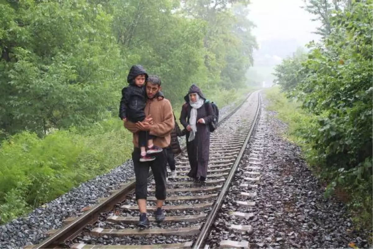 Zonguldak'ta sağanak; evler ve tarım alanları su altında kaldı (2)