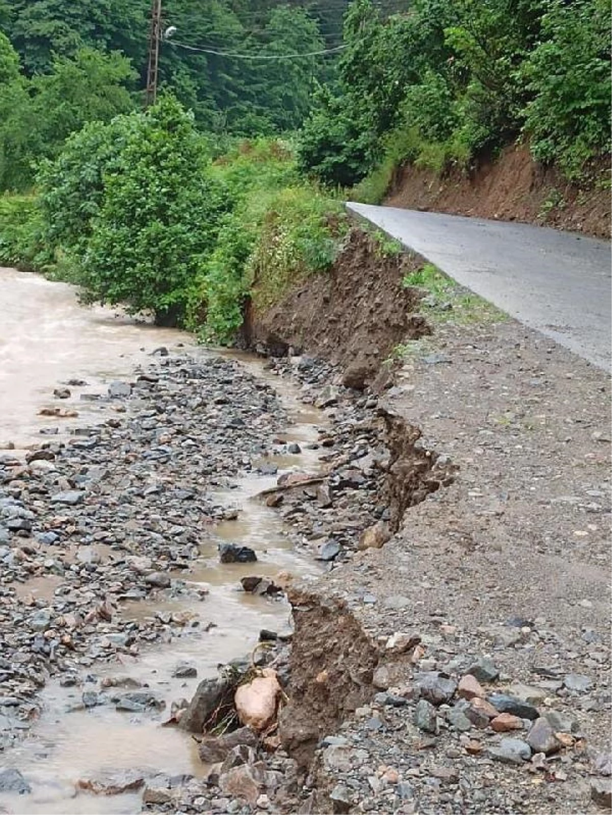 Zonguldak\'ta sağanak; evler ve tarım alanları su altında kaldı (3)