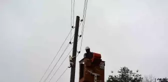 Elektrik direğinde mahsur kalan kedi, ekiplerden korkup kendisi indi