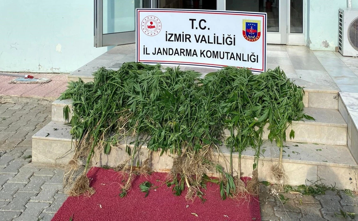 Son dakika haberleri | İzmir\'de 11 ilçede uyuşturucu operasyonu: 25 şüpheliye işlem