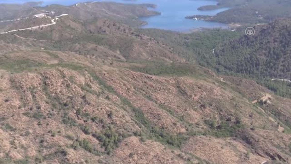 Marmaris yangınında hayvanlar için de seferber olundu