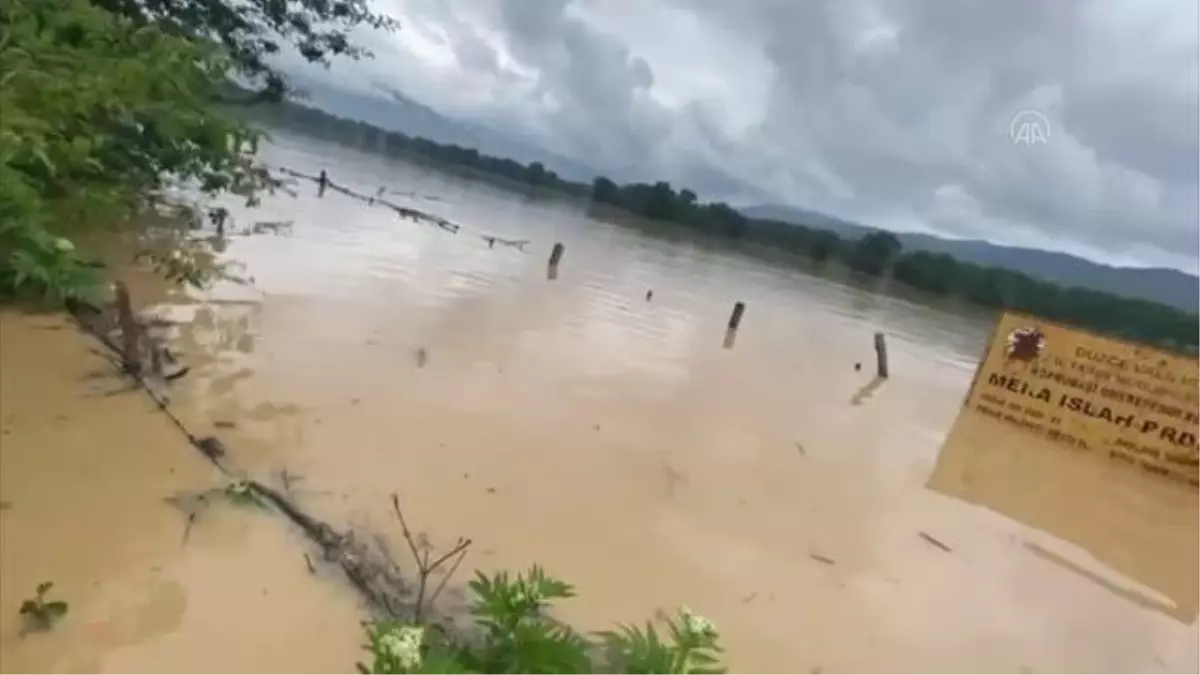 Sağanak nedeniyle mahsur kalan hayvanları raftingciler kurtardı