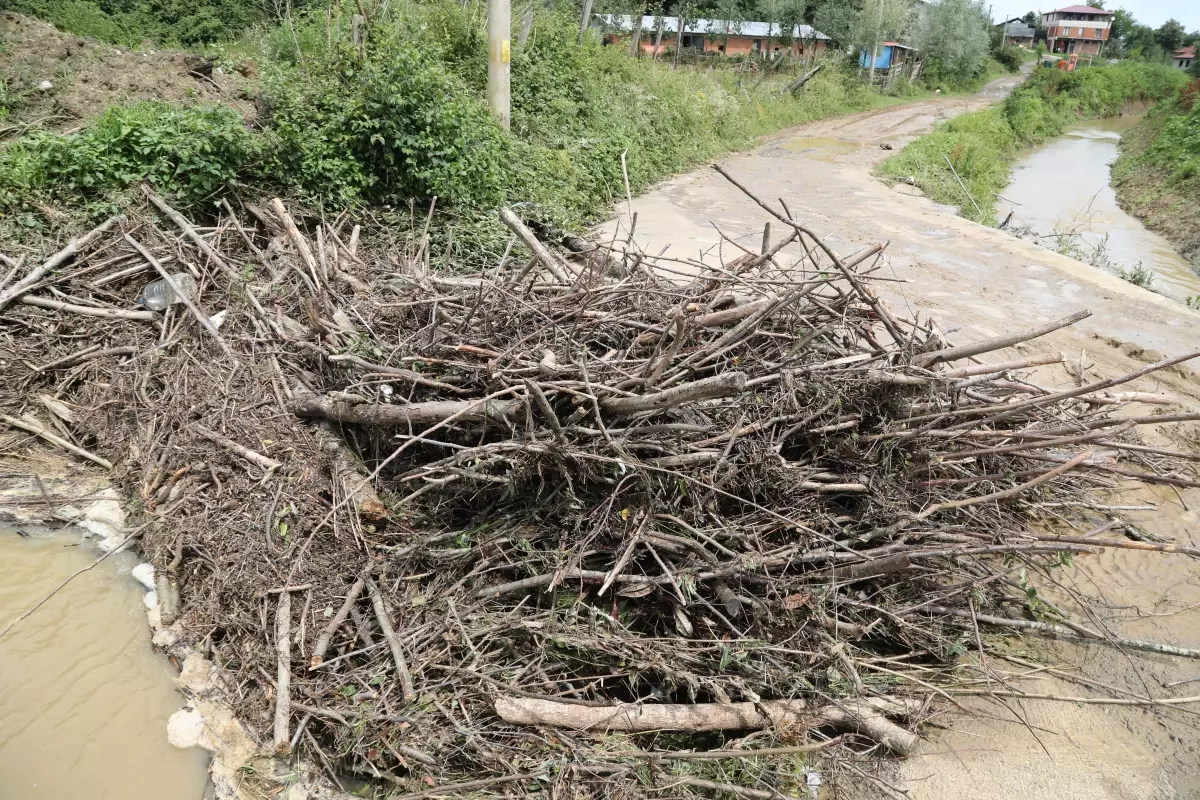 Sakarya\'da sağanaktan etkilenen bölgelerde temizlik çalışması yapıldı