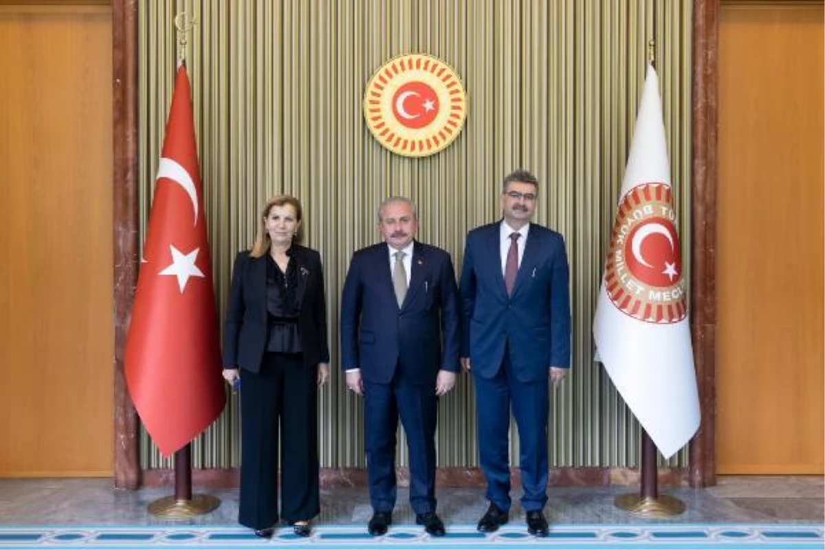Şentop, Cezayir-Türkiye Parlamentolararası Dostluk Grubu Başkanı Guesri\'yi kabul etti