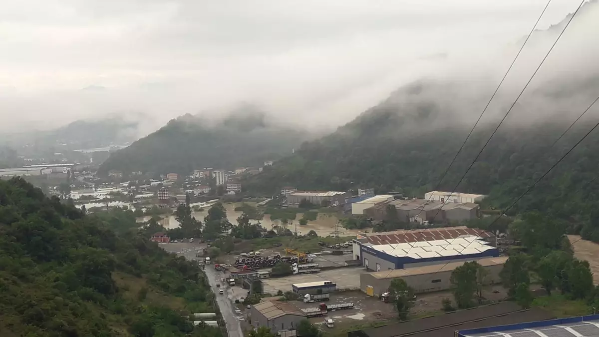 Zonguldak\'ta sağanak nedeniyle ırmak taştı, tarım arazileri su altında kaldı