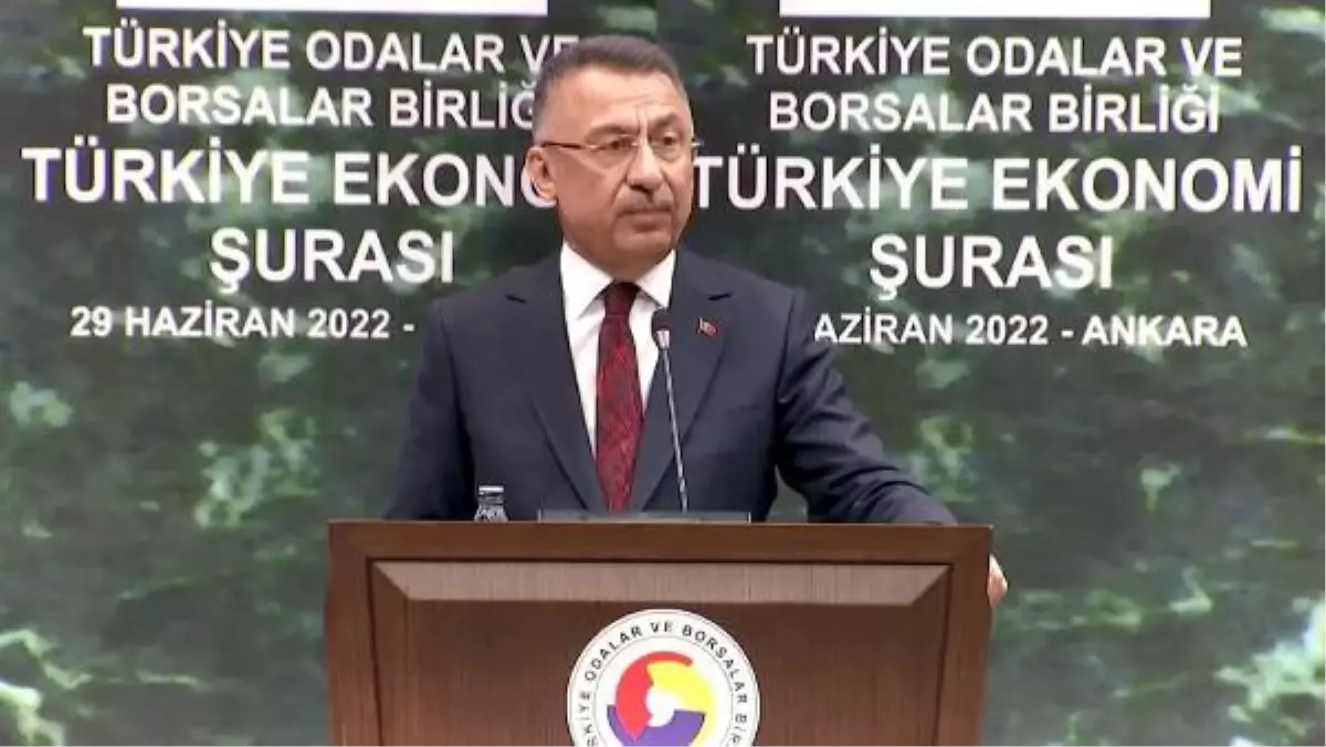 Fuat Oktay: Terörle mücadelemizi sahada ve masada kararlılıkla sürdüreceğiz (2)