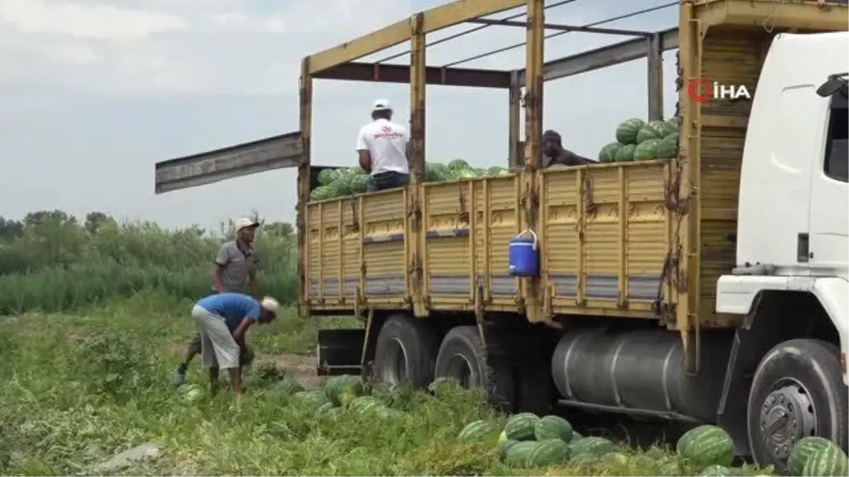 Karpuzun fiyatı yarı yarıya düştü