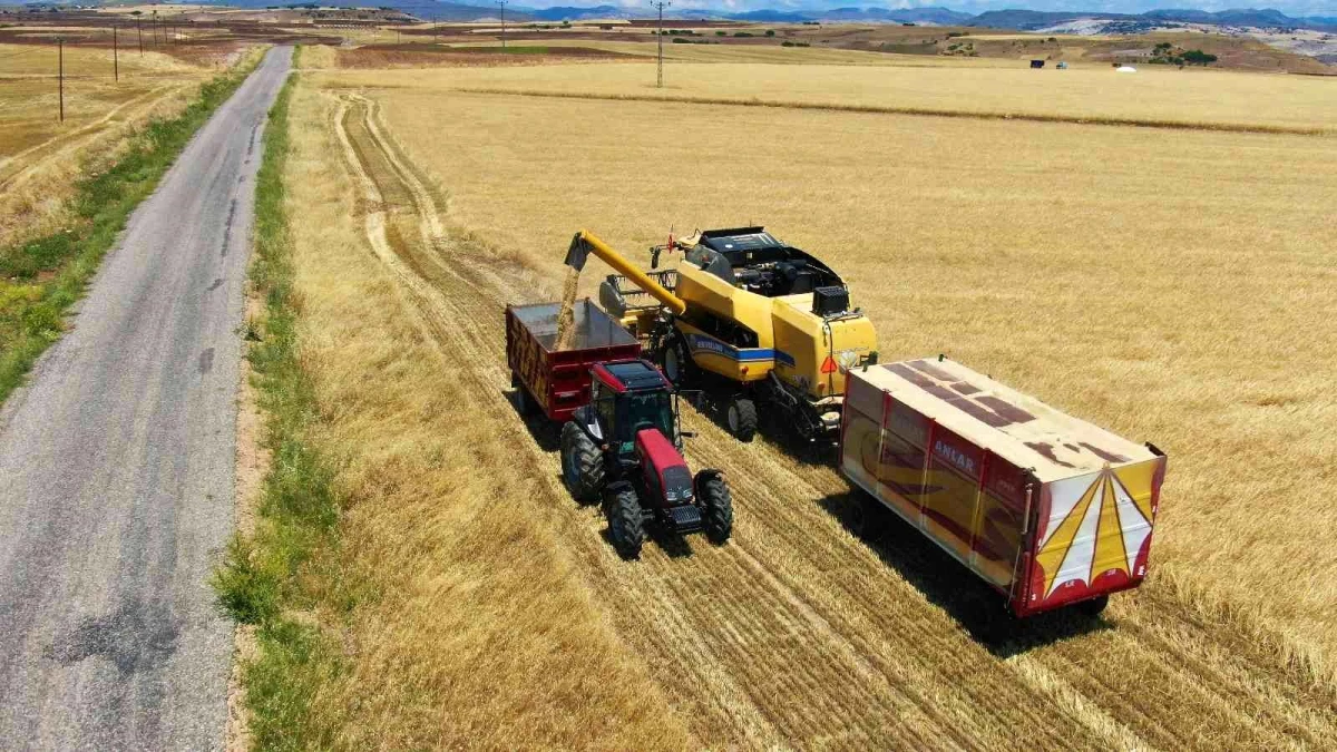 Tunceli\'de hasadına başlanan arpa, çiftçinin yüzünü güldürdü