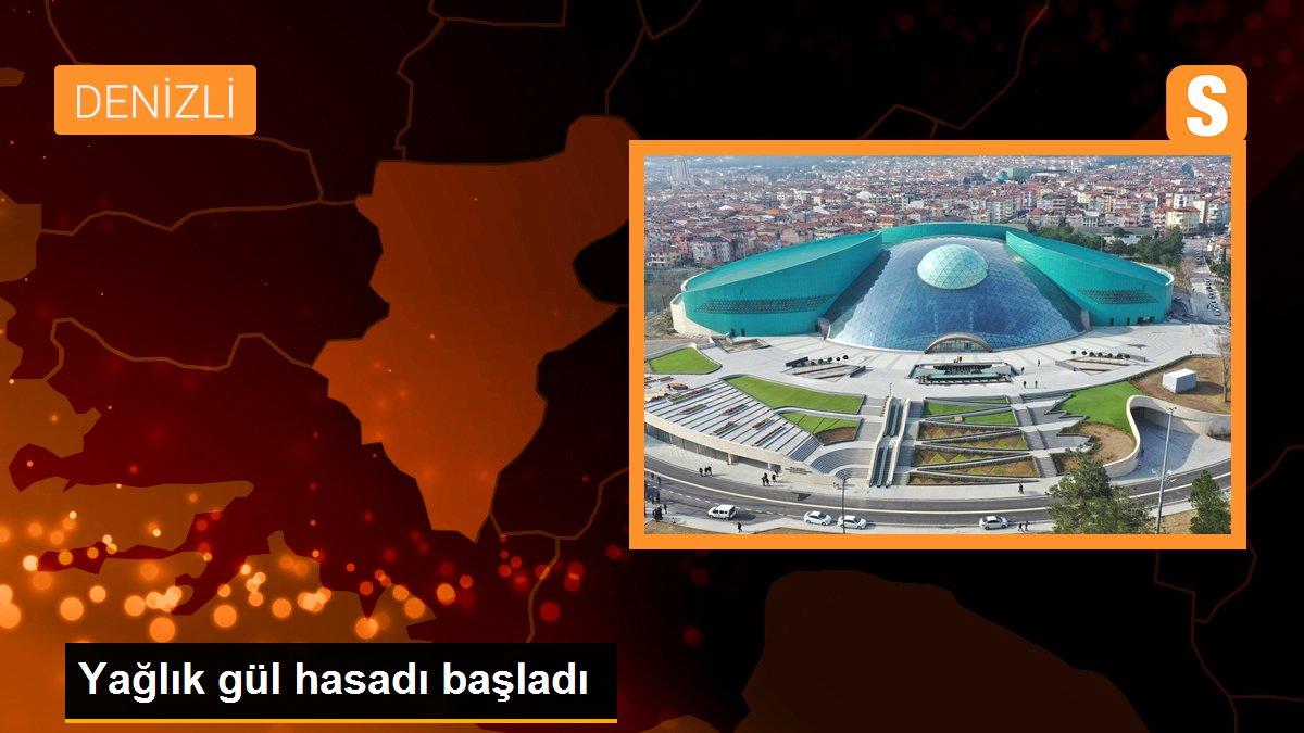 Yağlık gül hasadı başladı