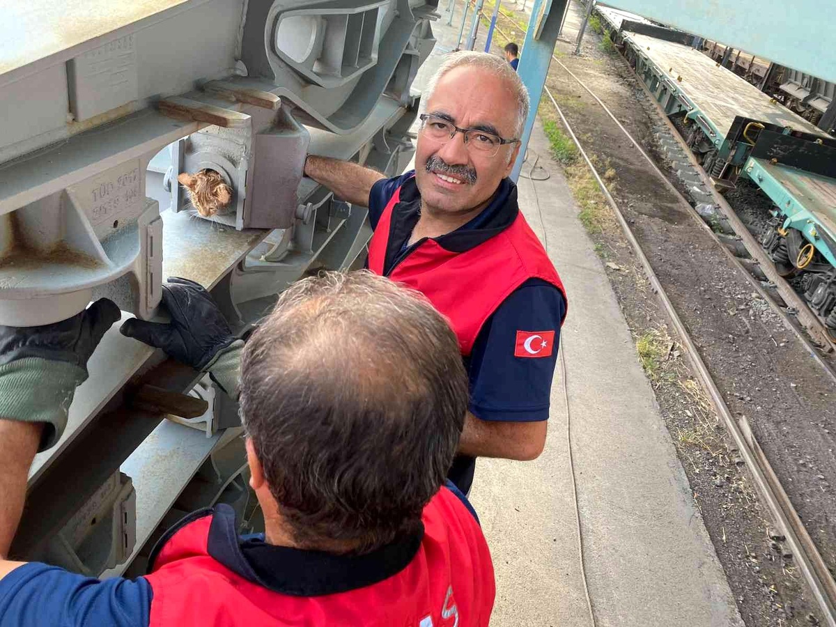 Vagona sıkışan kedi, zeytinyağı ile kurtarıldı