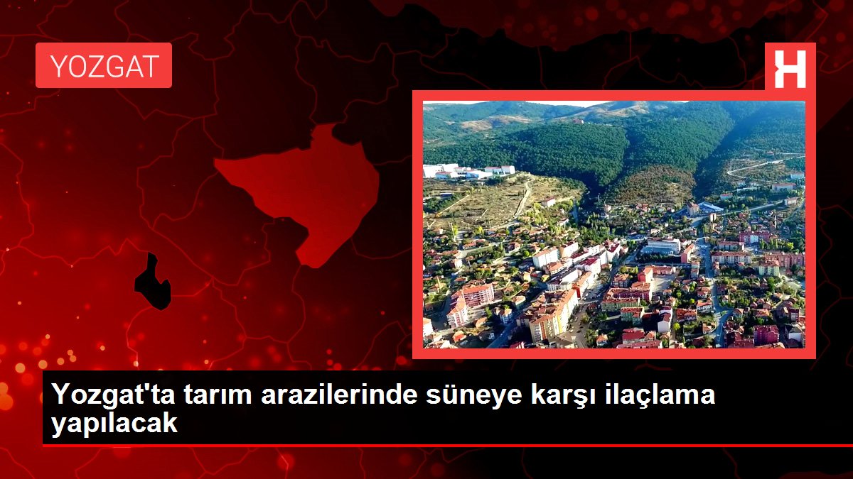 Yozgat'ta tarım arazilerinde süneye karşı ilaçlama yapılacak