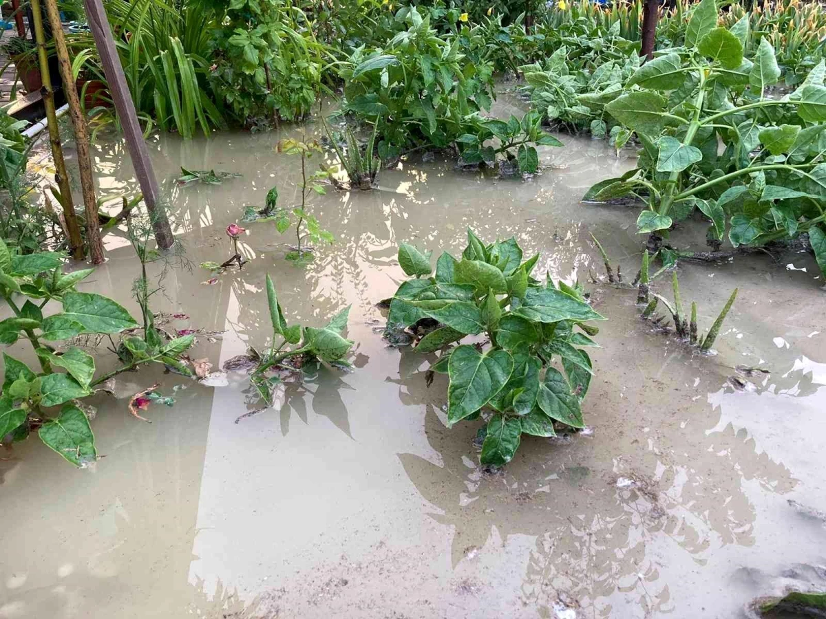 Beypazarı\'nda evleri ve ekili araziyi sel vurdu