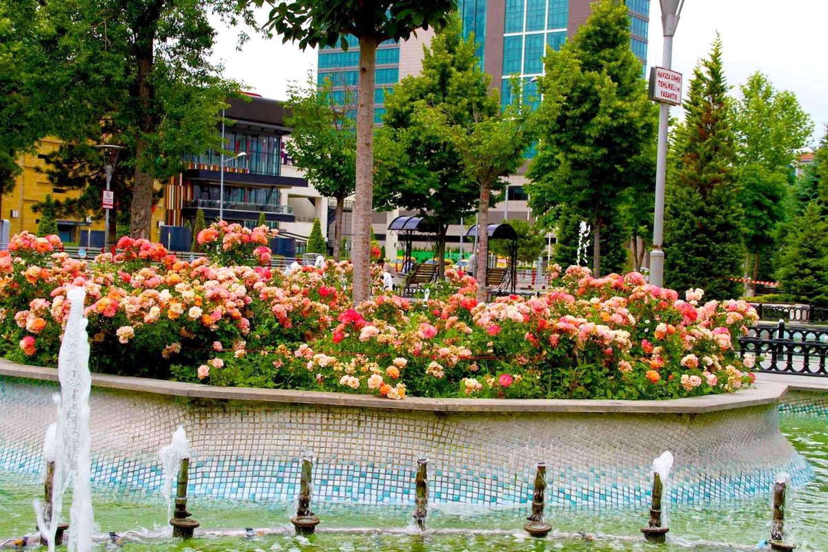 Kayseri\'de en güzel bahçe yarışması düzenlenecek