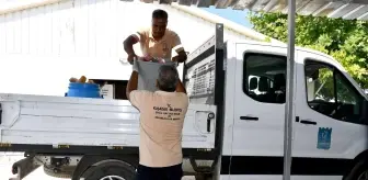 Sokak Hayvanlarının Mamaları, Kuşadası Belediyesi'nden