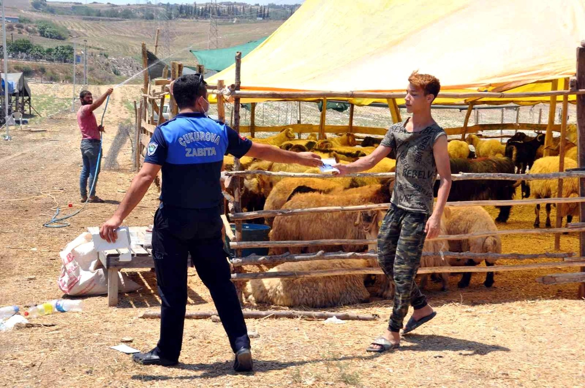 Çukurova\'da Kurban Satış ve Kesim Yerleri Belirlendi