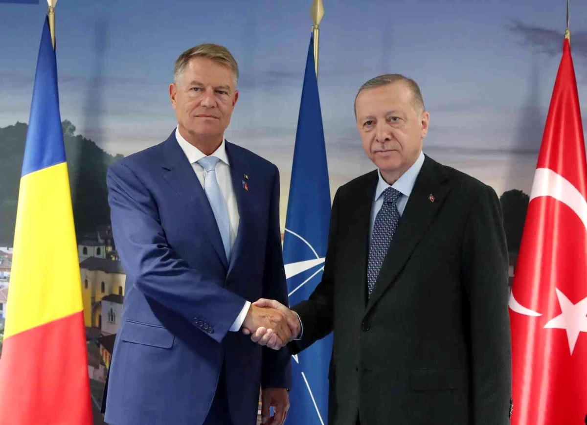 Cumhurbaşkanı Erdoğan, Romanyalı mevkidaşı Iohannis ile görüştü