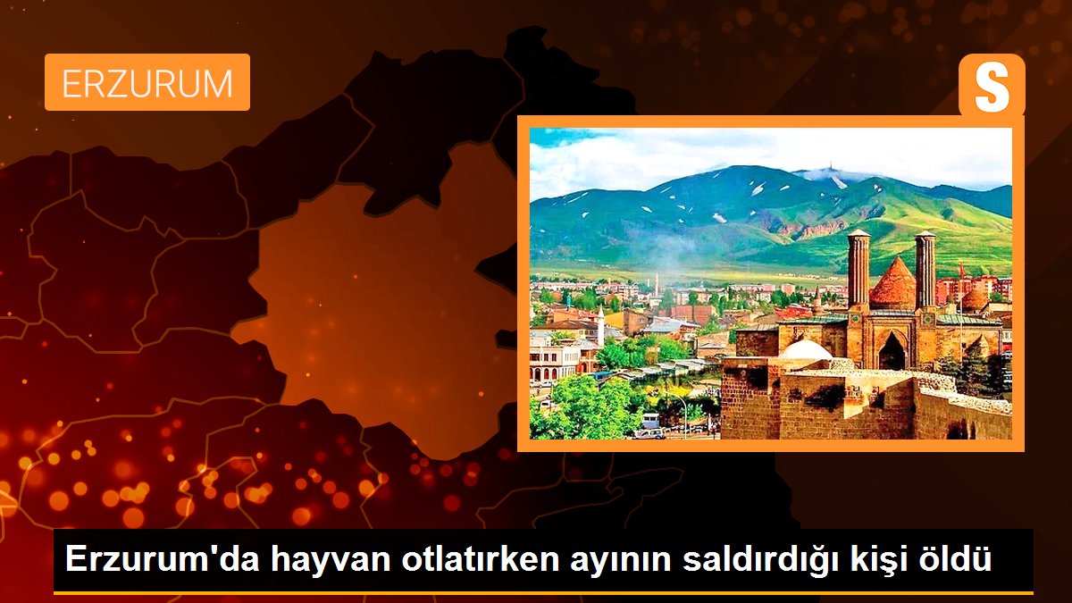 Erzurum\'da hayvan otlatırken ayının saldırdığı kişi öldü