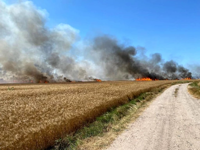 Son dakika haberleri... İstanbul Tekirdağ sınırında korkutan yangın: 500 dönüm buğday 15 dakikada küle döndü