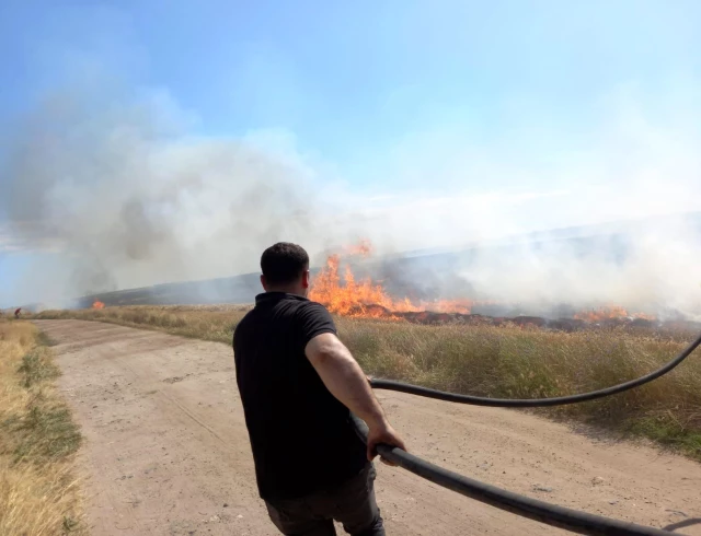 Son dakika haberleri... İstanbul Tekirdağ sınırında korkutan yangın: 500 dönüm buğday 15 dakikada küle döndü