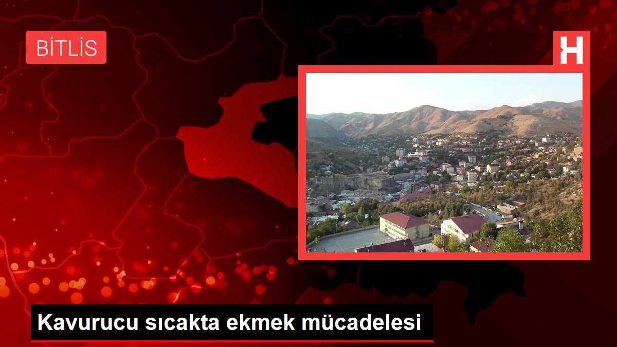 Kavurucu sıcakta ekmek mücadelesi