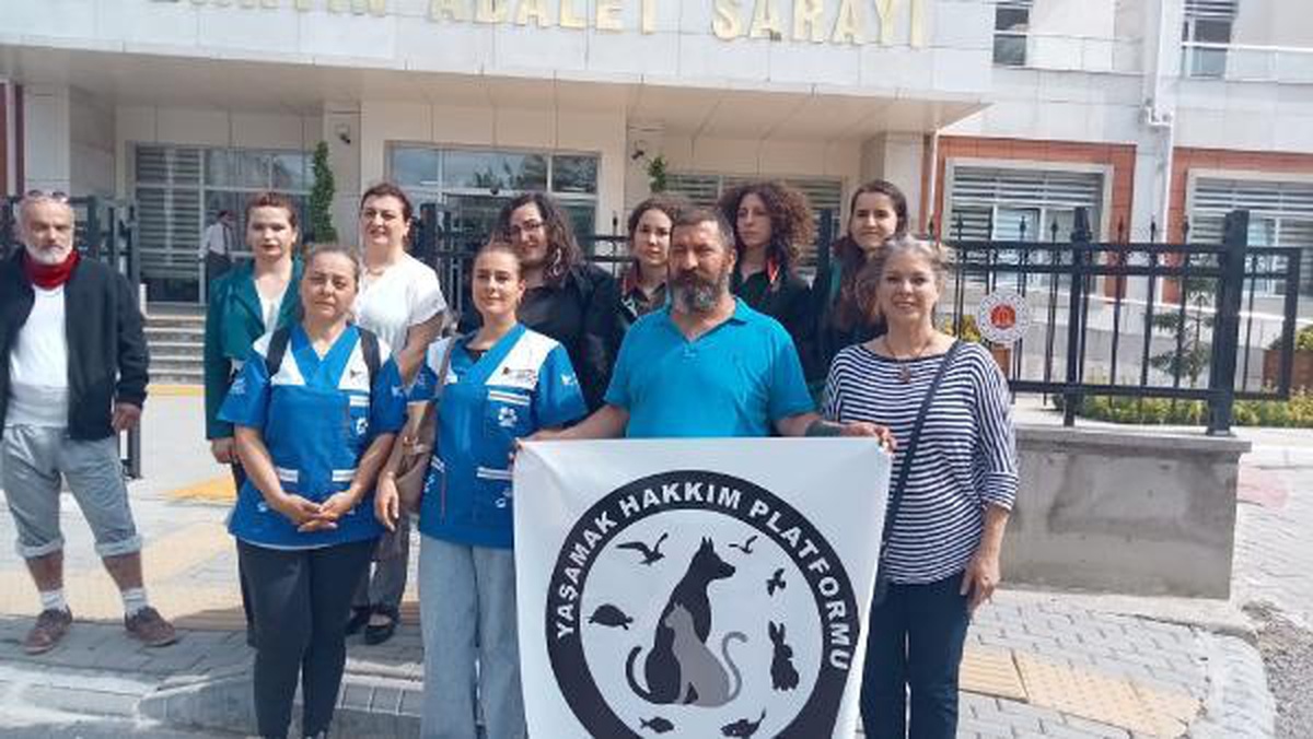 Bartın\'da köpeğe cinsel istismardan yargılanan sanığa hapis cezası