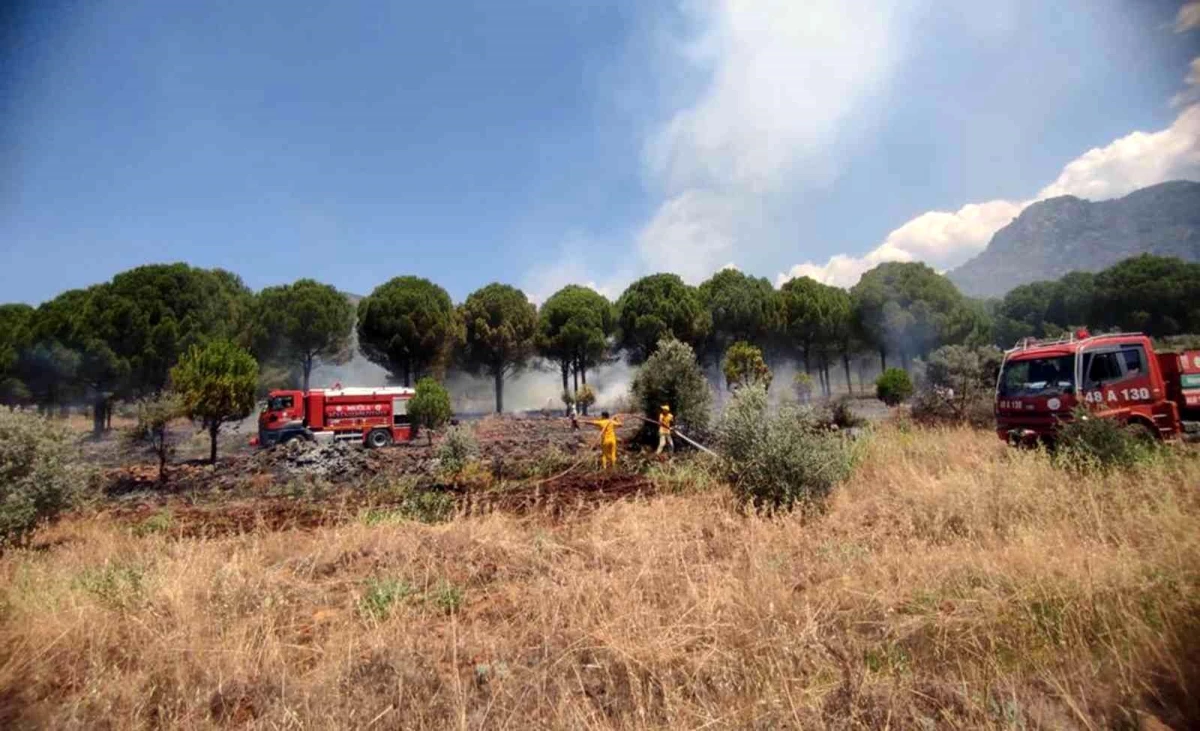 Son dakika: Köyceğiz\'de orman yangını kısa sürede söndürüldü