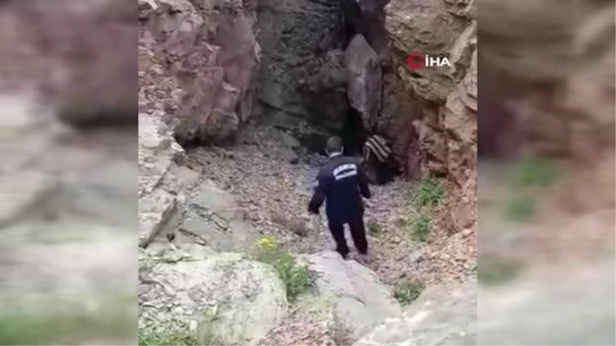 Son Dakika | Mağarada eşek kurtarma operasyonu