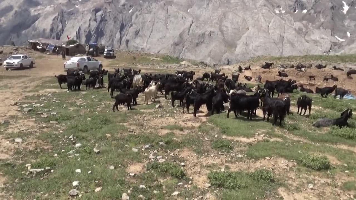 Mersin Büyükşehir, Yollarını Açtığı Yörükler\'e, Hijyen Kolisi ve Türk Bayrağı Dağıttı