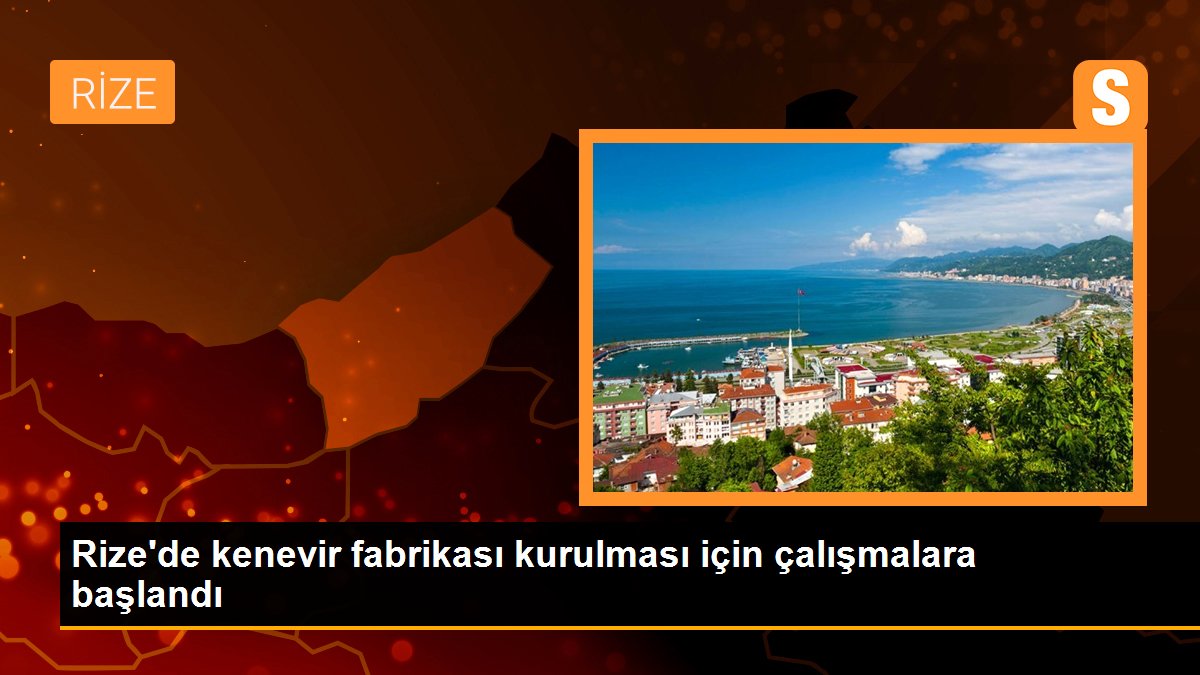 Rize\'de kenevir fabrikası kurulması için çalışmalara başlandı
